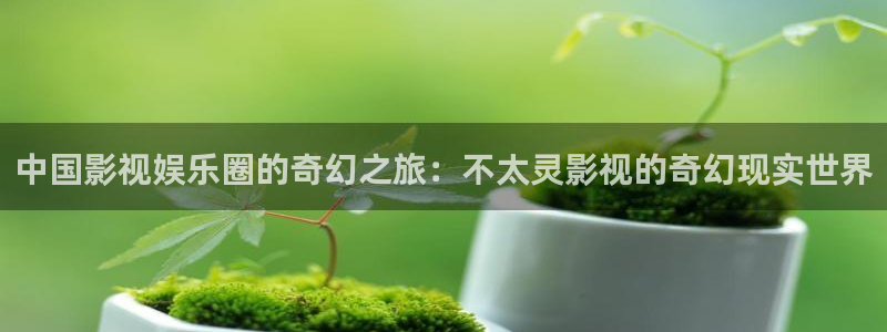 桔子圖